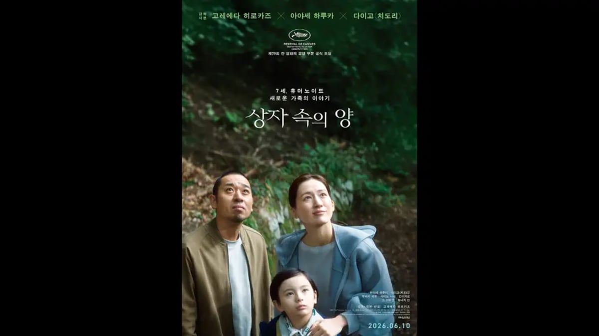 Rimu Kuwaki: Koreeda Sheep in the Box Debut
