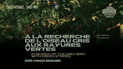 Cannes Directors’ Fortnight 2026: Keoghan-Keough Duo, Radu Jude’s Latest Lead Diverse Selection